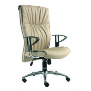 Kursi Direktur Savello Tera HA