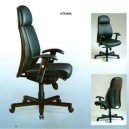 Kursi Direktur Fantoni Ottawa