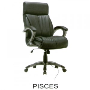 Kursi Direktur Fantoni Pisces