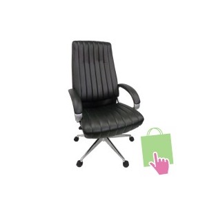 Kursi Direktur Tiger T-1134