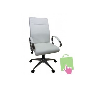 Kursi Direktur Tiger T Raiso