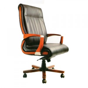 Kursi Direktur Subaru Ferre LC