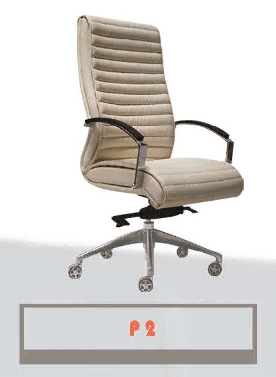 Kursi Kantor Direktur CARRERA P2