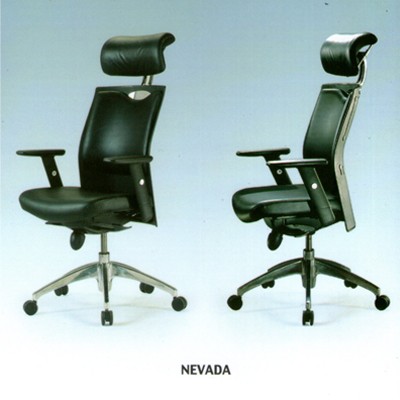 Kursi Direktur Fantoni Nevada