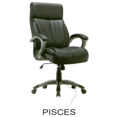 Kursi Direktur Fantoni Pisces